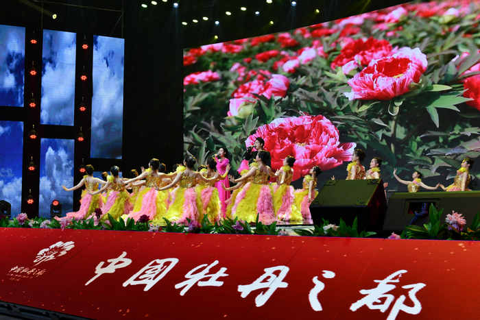 《邓婷访谈》创始人率驻华大使团出席菏泽2023第四届国际牡丹大会